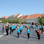 Fifteen Years of Taoist Tai Chi in Sopron, Hungary